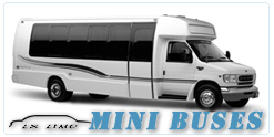 New York Mini Bus rental